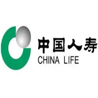 中國人壽保定分公司